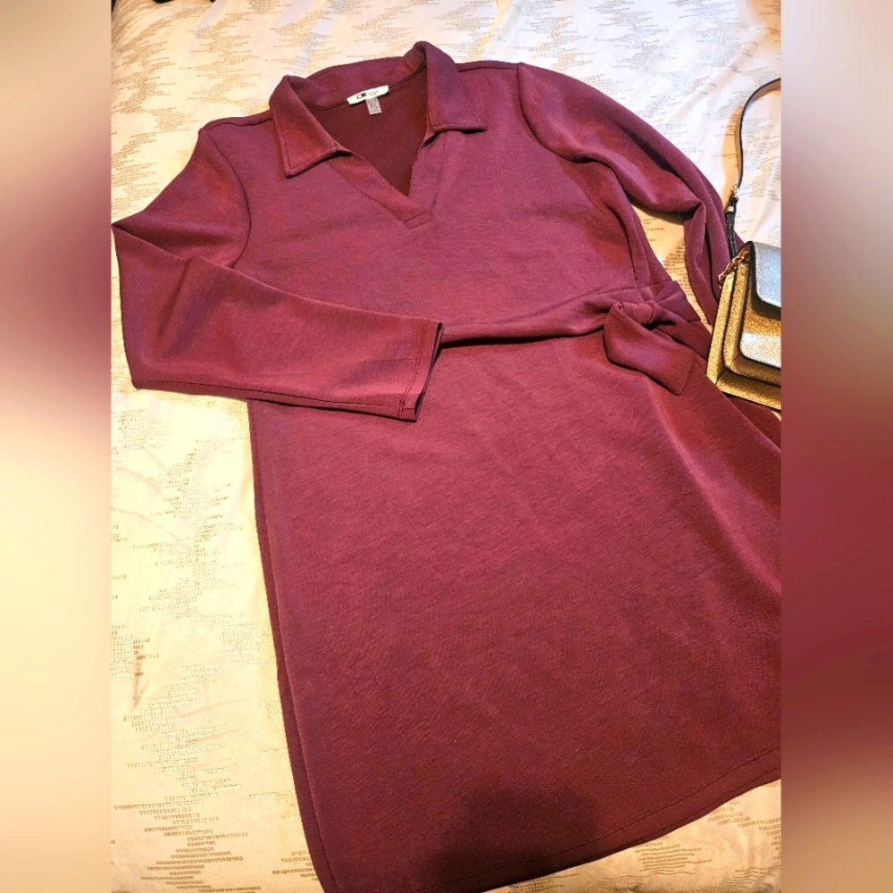 Elegant Purple Women's Dress